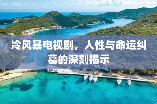 冷风暴电视剧，人性与命运纠葛的深刻揭示