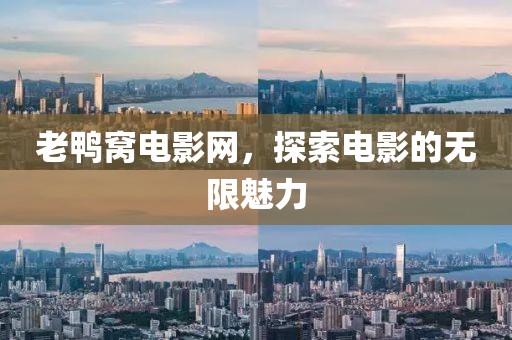老鸭窝电影网，探索电影的无限魅力