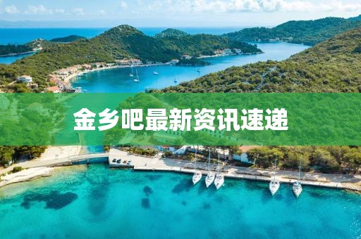 金乡吧最新资讯速递