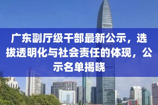 广东副厅级干部最新公示，选拔透明化与社会责任的体现，公示名单揭晓