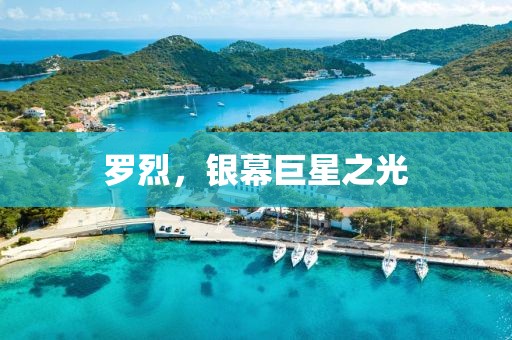 罗烈，银幕巨星之光