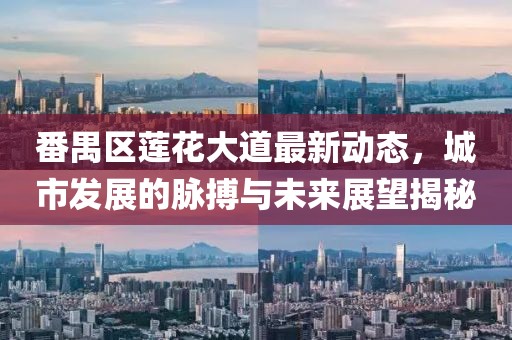 番禺区莲花大道最新动态，城市发展的脉搏与未来展望揭秘