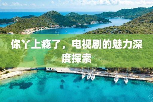 你丫上瘾了，电视剧的魅力深度探索