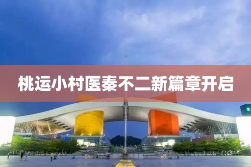 桃运小村医秦不二新篇章开启