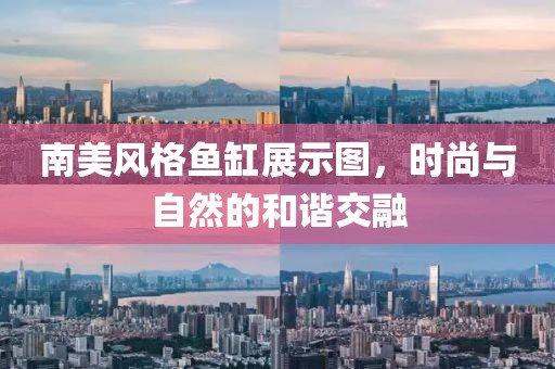 南美风格鱼缸展示图，时尚与自然的和谐交融