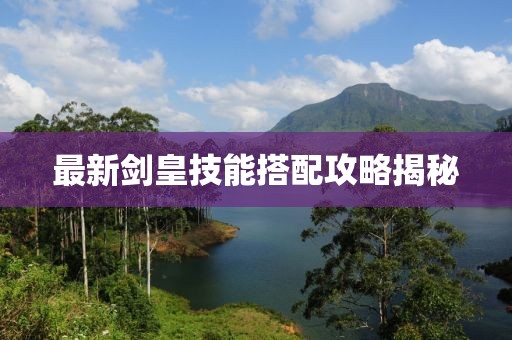 最新剑皇技能搭配攻略揭秘