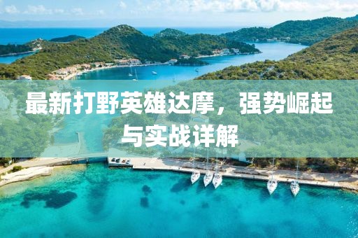 最新打野英雄达摩，强势崛起与实战详解