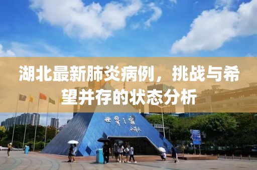 湖北最新肺炎病例，挑战与希望并存的状态分析
