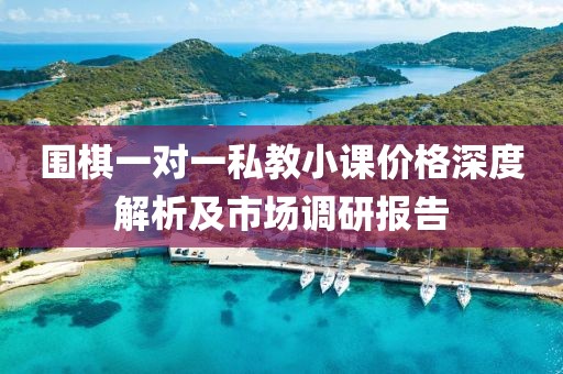 围棋一对一私教小课价格深度解析及市场调研报告