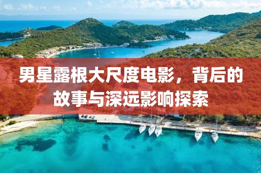 男星露根大尺度电影，背后的故事与深远影响探索
