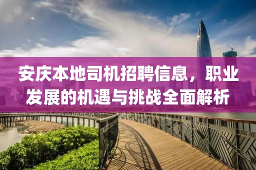 安庆本地司机招聘信息，职业发展的机遇与挑战全面解析
