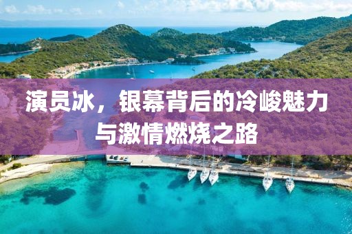 演员冰，银幕背后的冷峻魅力与激情燃烧之路