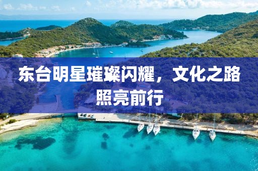 东台明星璀璨闪耀，文化之路照亮前行