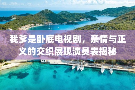 我爹是卧底电视剧，亲情与正义的交织展现演员表揭秘