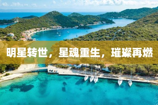 明星转世，星魂重生，璀璨再燃
