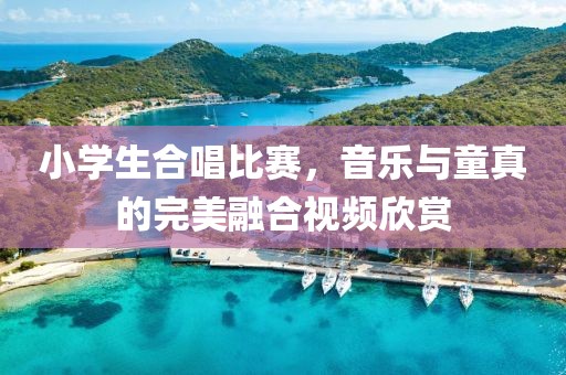 小学生合唱比赛，音乐与童真的完美融合视频欣赏