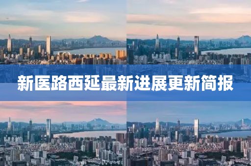 新医路西延最新进展更新简报