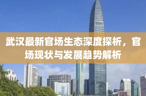 武汉最新官场生态深度探析，官场现状与发展趋势解析