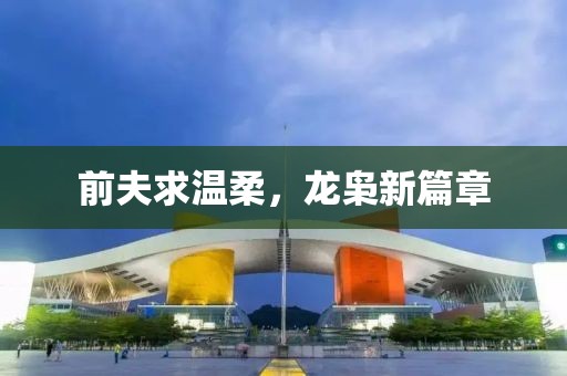前夫求温柔，龙枭新篇章