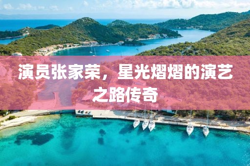 演员张家荣，星光熠熠的演艺之路传奇
