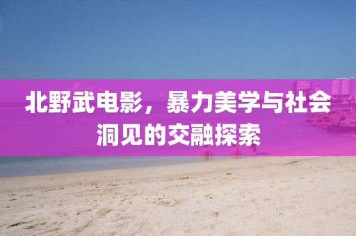 北野武电影，暴力美学与社会洞见的交融探索
