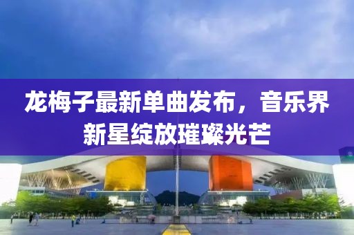 龙梅子最新单曲发布，音乐界新星绽放璀璨光芒