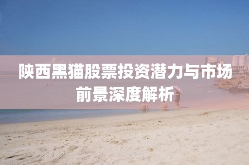 陕西黑猫股票投资潜力与市场前景深度解析