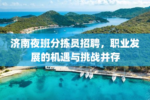济南夜班分拣员招聘，职业发展的机遇与挑战并存