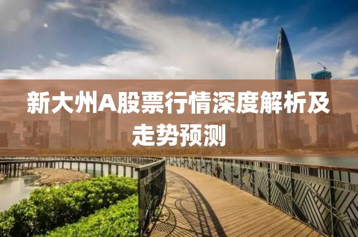 新大州A股票行情深度解析及走势预测