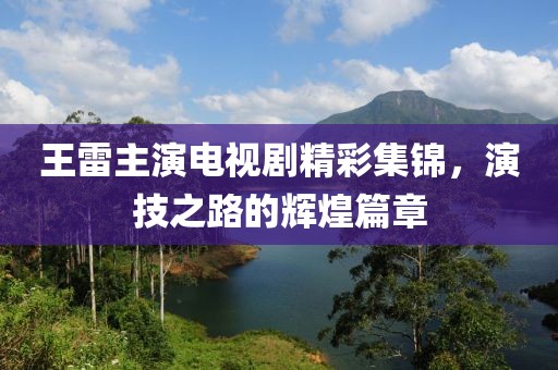 王雷主演电视剧精彩集锦，演技之路的辉煌篇章