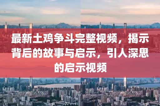 最新土鸡争斗完整视频，揭示背后的故事与启示，引人深思的启示视频