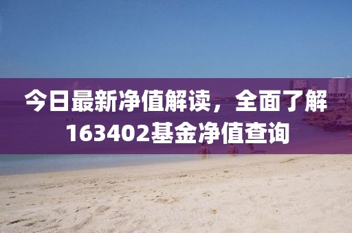 今日最新净值解读，全面了解163402基金净值查询