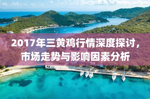 2017年三黄鸡行情深度探讨，市场走势与影响因素分析