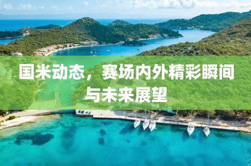 国米动态，赛场内外精彩瞬间与未来展望