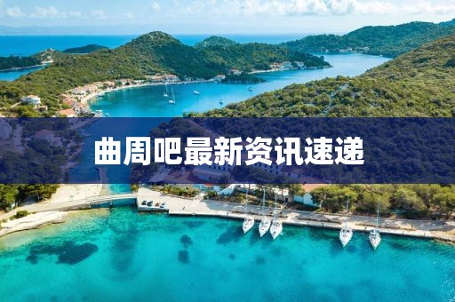 曲周吧最新资讯速递