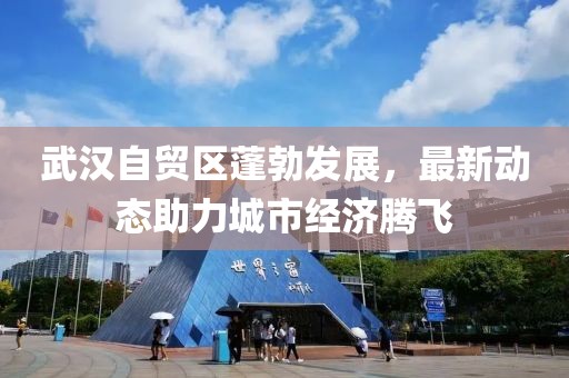 武汉自贸区蓬勃发展，最新动态助力城市经济腾飞