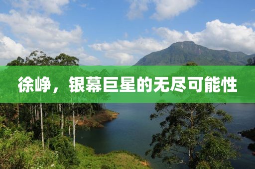徐峥，银幕巨星的无尽可能性