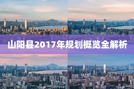 山阳县2017年规划概览全解析