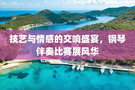 技艺与情感的交响盛宴，钢琴伴奏比赛展风华