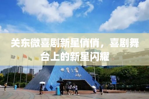 关东微喜剧新星俏俏，喜剧舞台上的新星闪耀