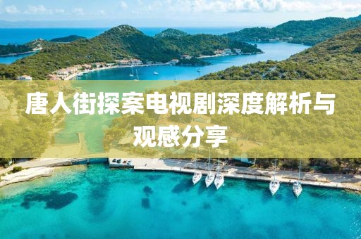 唐人街探案电视剧深度解析与观感分享