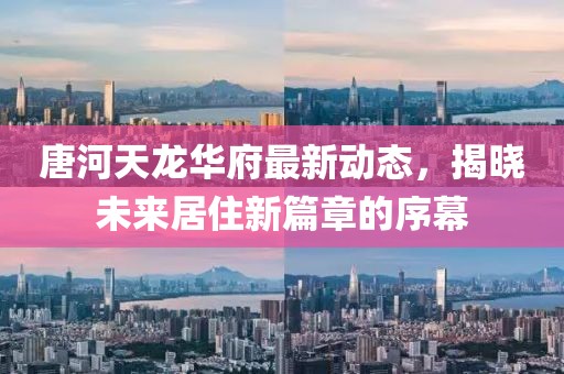 唐河天龙华府最新动态，揭晓未来居住新篇章的序幕