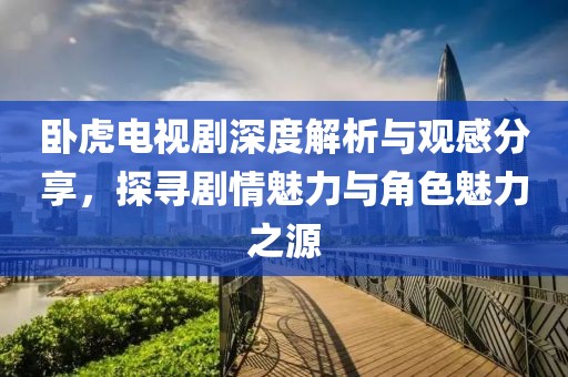 卧虎电视剧深度解析与观感分享，探寻剧情魅力与角色魅力之源