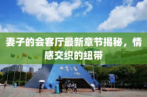 妻子的会客厅最新章节揭秘，情感交织的纽带