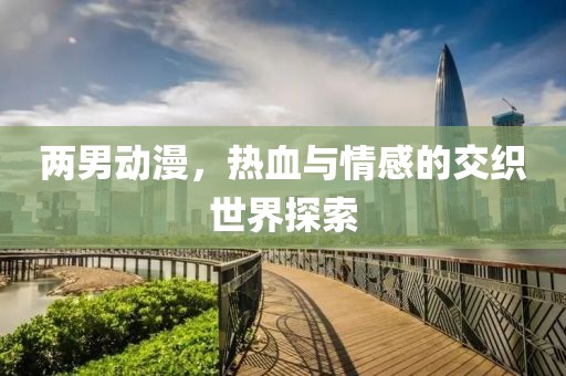 两男动漫，热血与情感的交织世界探索