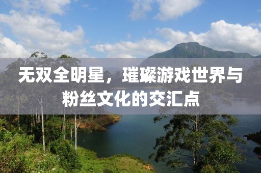 无双全明星，璀璨游戏世界与粉丝文化的交汇点