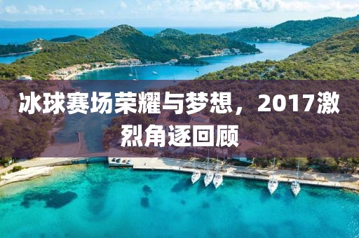 冰球赛场荣耀与梦想，2017激烈角逐回顾
