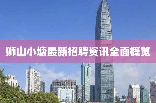 狮山小塘最新招聘资讯全面概览