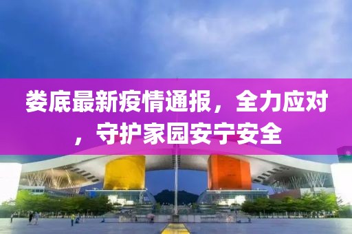 娄底最新疫情通报，全力应对，守护家园安宁安全