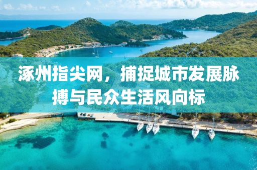 涿州指尖网，捕捉城市发展脉搏与民众生活风向标